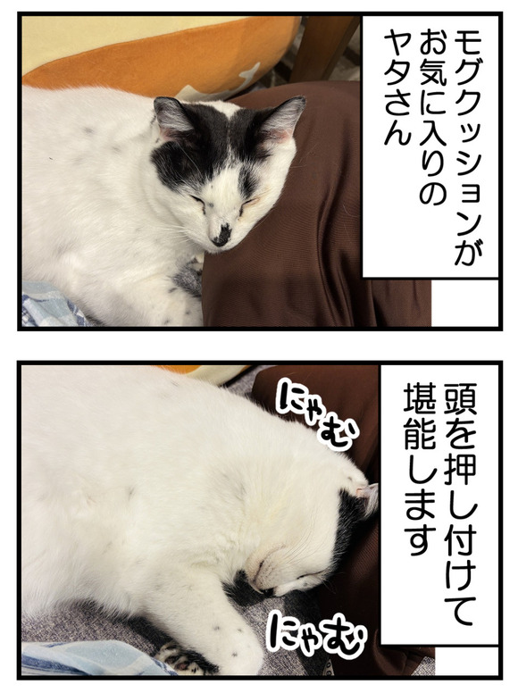 意外にバレない_7