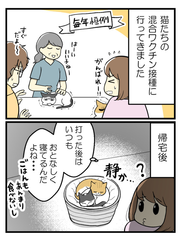 猫のワクチン接種で今さらな話リメイク-1_1