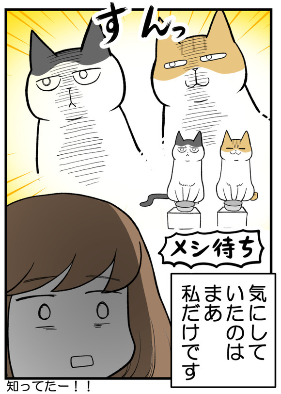 きょうだい格差なんてない_6