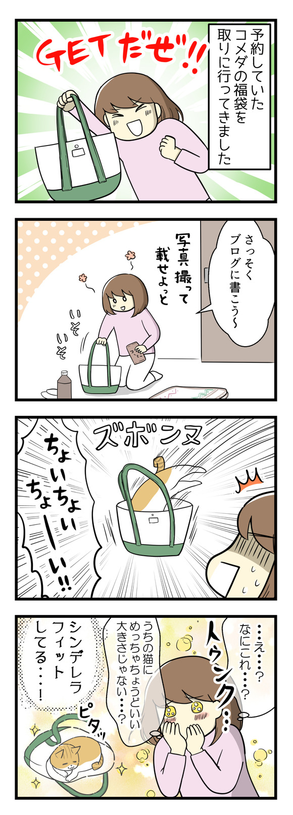 予約していたコメダの福袋を取りに行ってきました!早速ブログに描こうということで中身を取り出し写真をとろうとしたら・・・猫のナギがバッグにダイブ!これが絶妙にバッグにシンデレラフィットしていていい感じ!