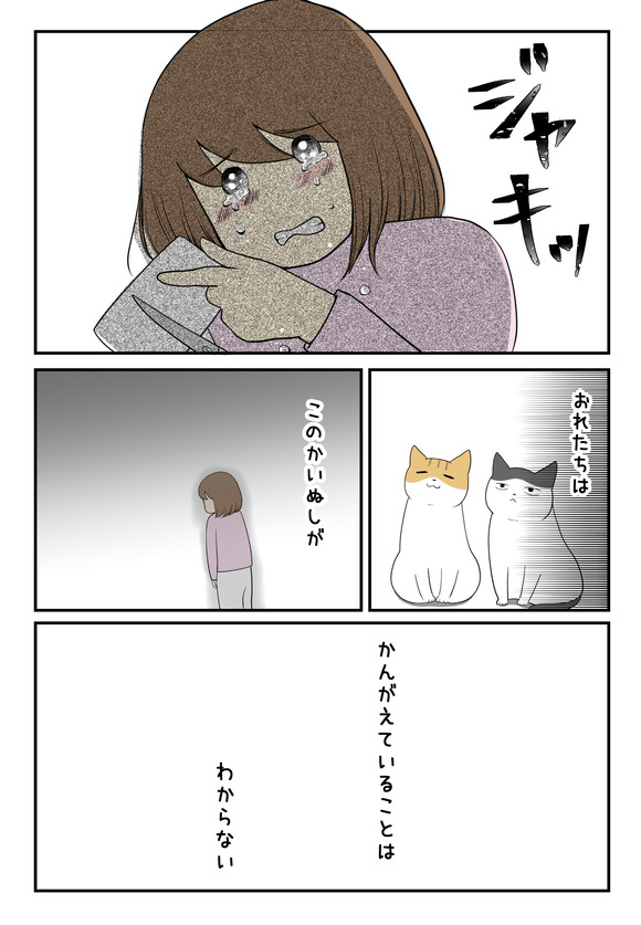 子供を諦めた私と猫たちと4