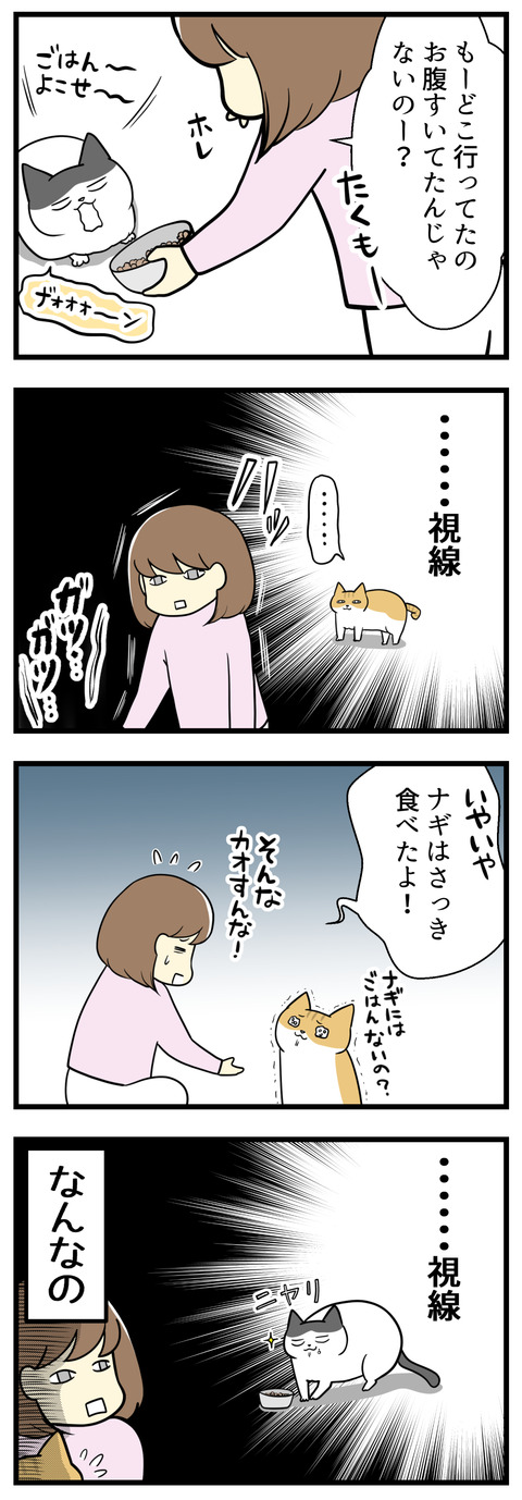 ナギが悲しそうな目でじっと見てきます。その際またもや背中に視線を感じて!ヤタがナギの悲しそうな姿を見てニヤリとしているような?