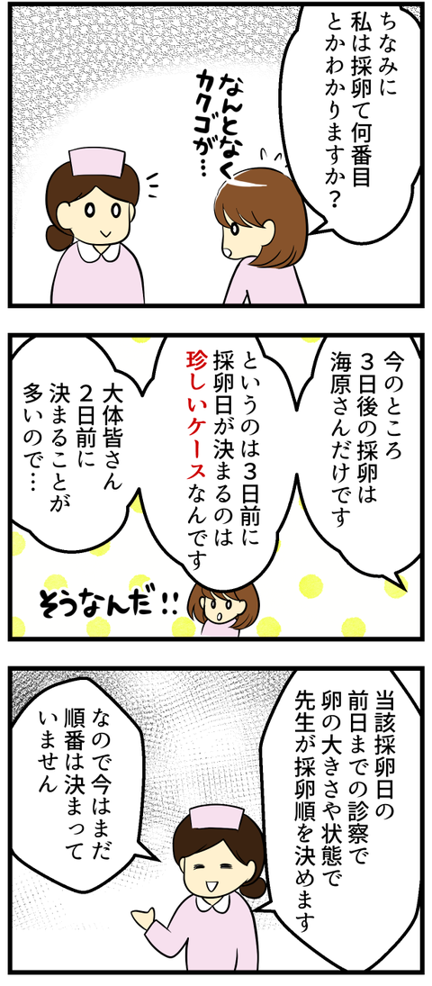 採卵日決定-2-_2