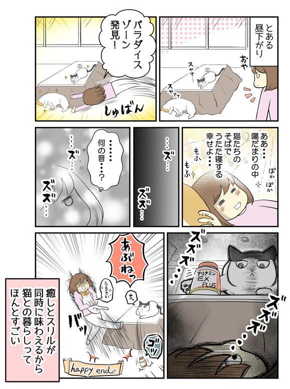 とある昼下がり、猫たちがうたた寝する場所が・・・