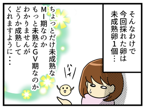 未成熟卵についてNが説明するよ!_3