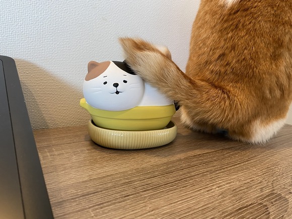 しっぽであいさつ