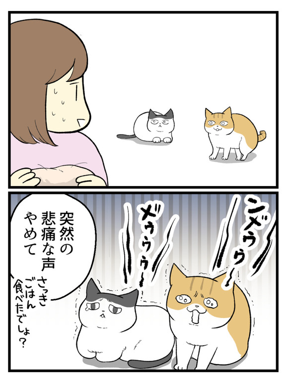 サラダチキン事件4