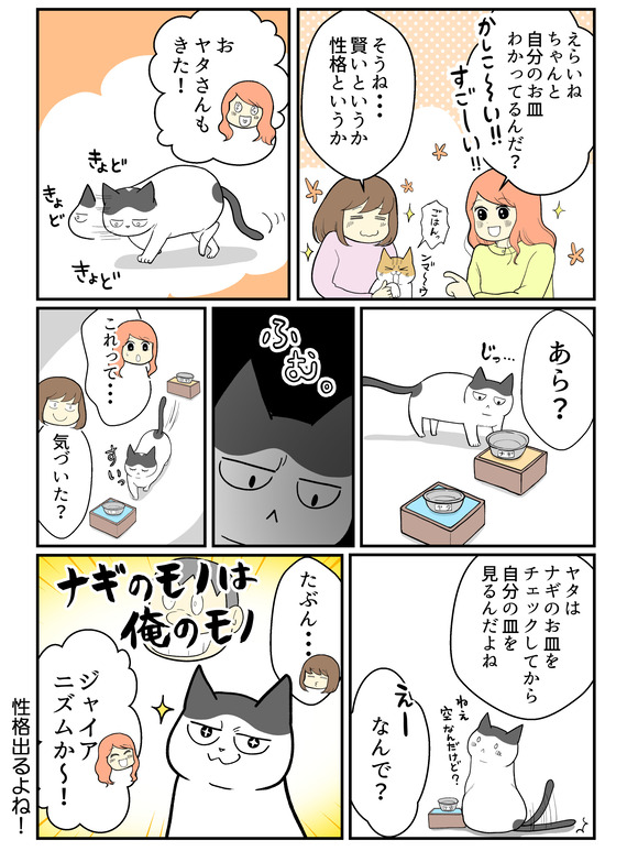 猫たちの性格出るよね_2