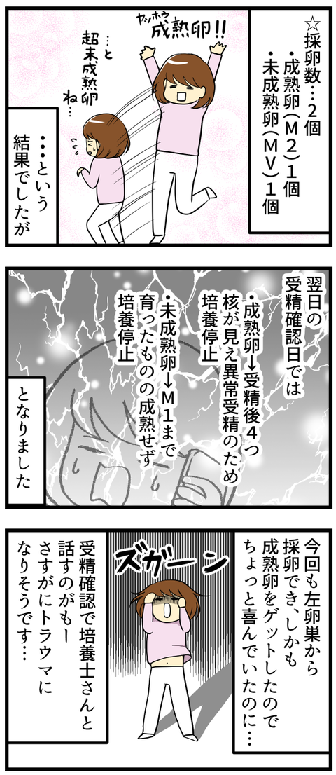 6回目の採卵ダイジェスト_2
