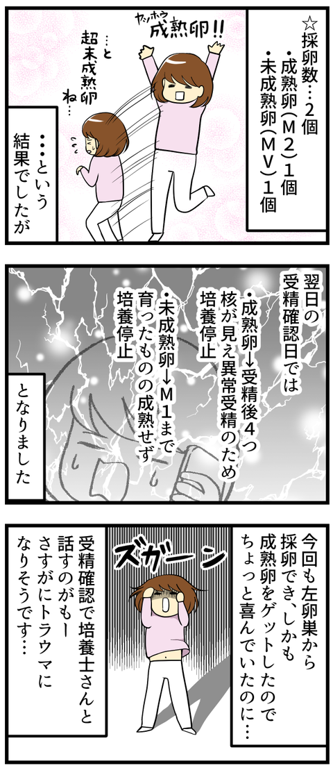 ６回目の採卵ダイジェスト_2