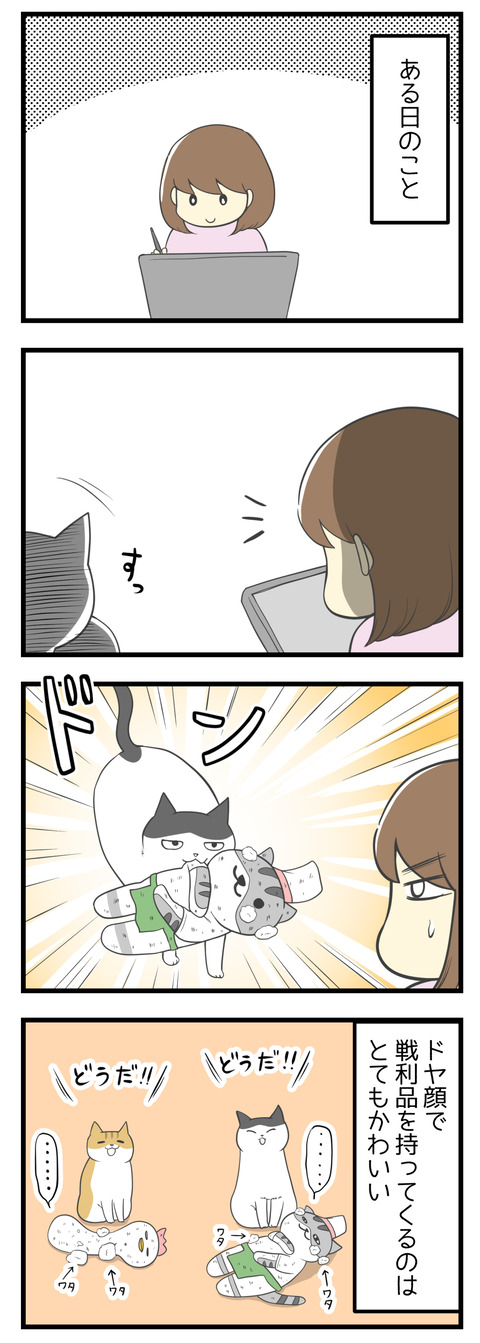 ある日のこと。絵を描いていたら猫のヤタがぬいぐるみのビストロさんを咥えて現れました。ナギもけりぐるみを咥えてそれぞれドヤ顔で持ってくる。その姿はとてもかわいいです。