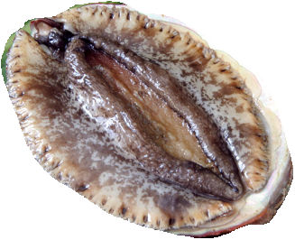 as