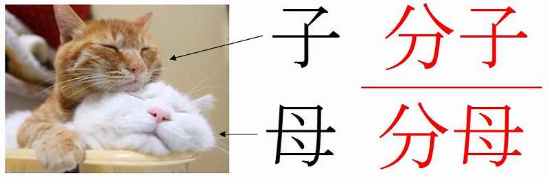 数学の裏技、分子と分母を覚えやすくする方法