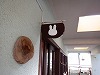 DSCF5080