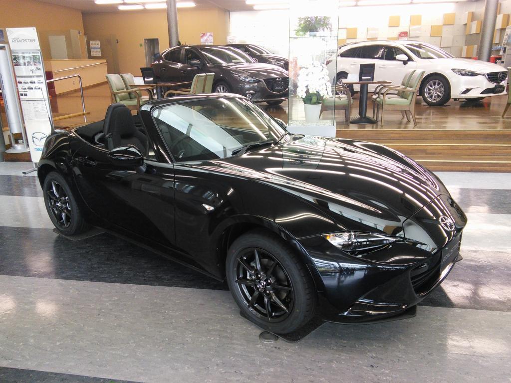 通勤車納車されました マンボウ イブと暮らす