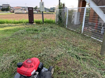 2256-6grass