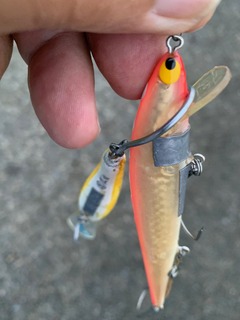2259-3hook