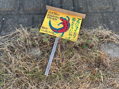 2666-5akaharaimori