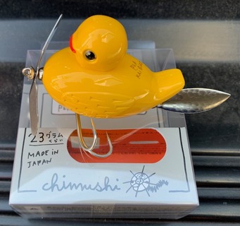 2259-1prakaibird