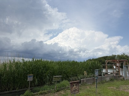 3168-1IMG_4048