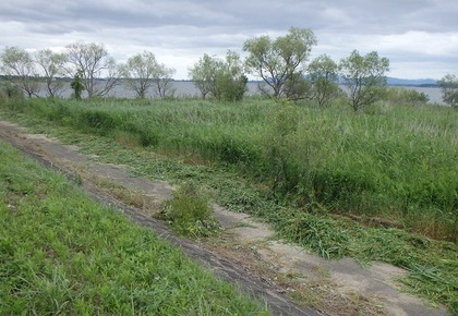1936-1cutting