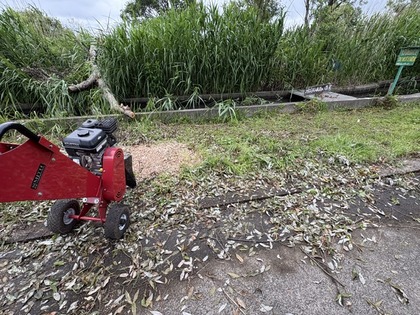 3166-4IMG_3967