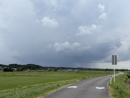 3168-2IMG_4050