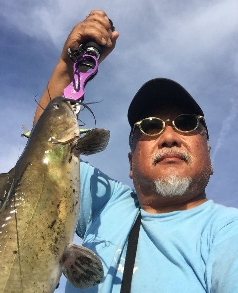 熱血 幸運児 アメリカナマズ