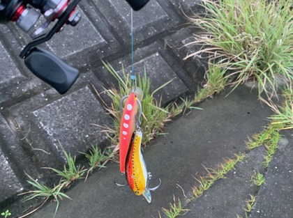 2259-2lure