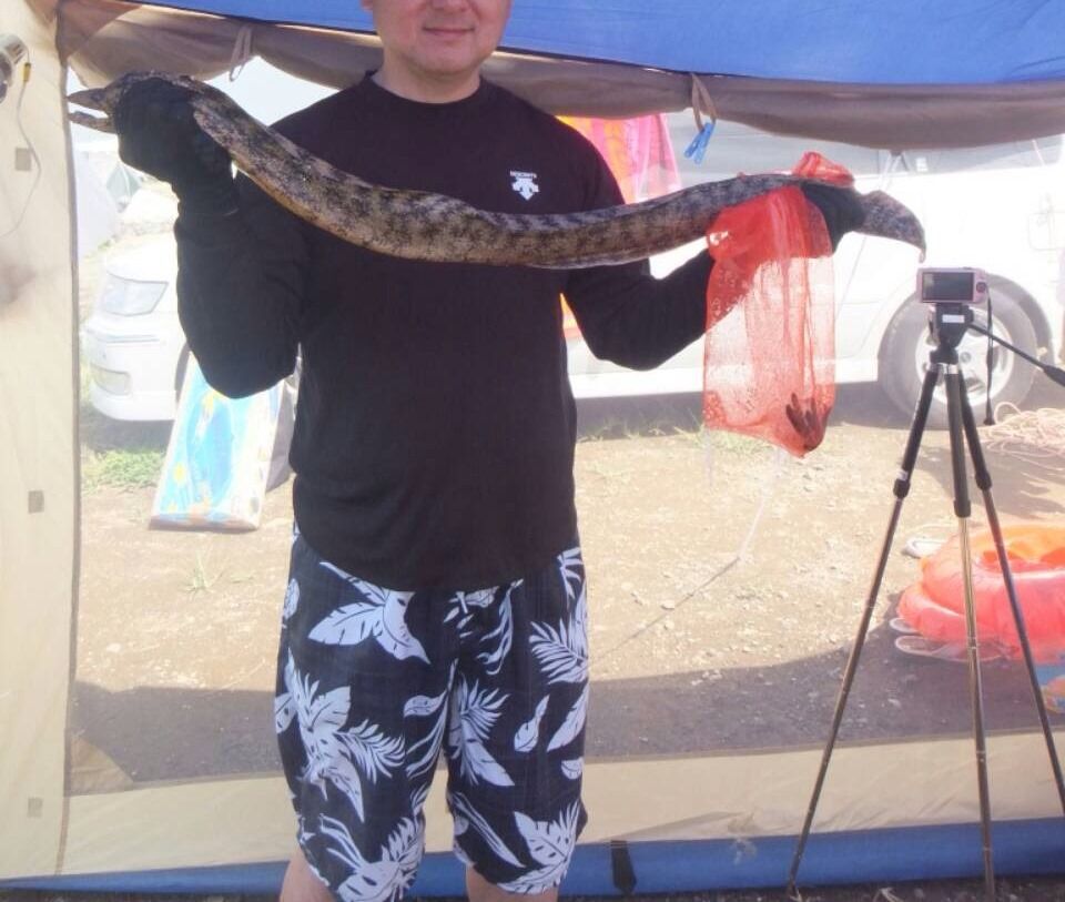 ウツボを食す 館山の海で６人で自給自足 No2 モデルガン 映画 空手 ウエスタン 歯科