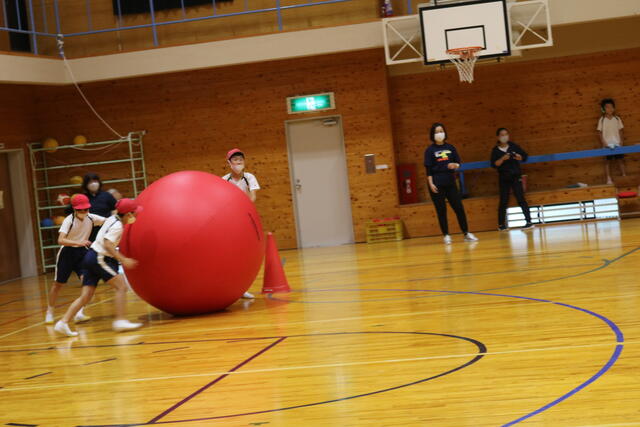 港西ミニ運動会 4 大玉ころがし Kousai No Blog 港西ミニ運動会 4 大玉ころがし Kousai No Blog