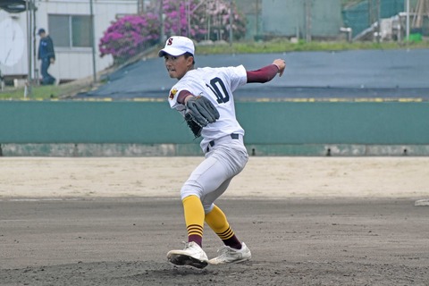 DSC_3361_1