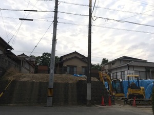 IMG_1363