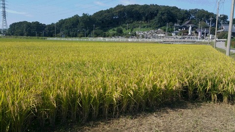 20150928_135711