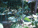 DSCN5777