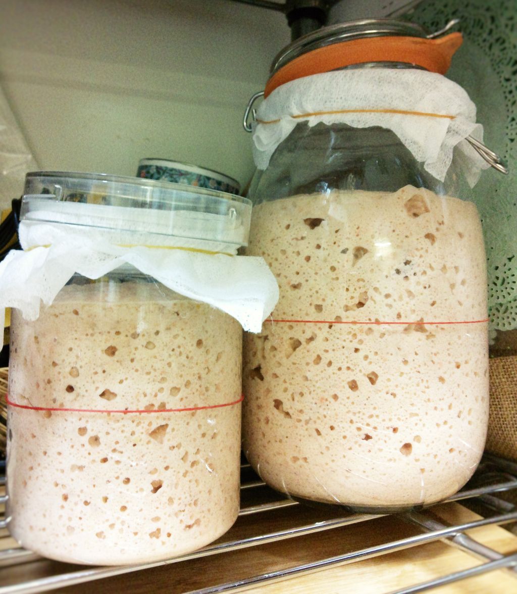 楽健寺酵母育成中 ハーブを暮らしに活かす 月と太陽の幸草哲学