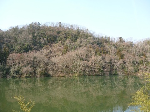 P1110367 (2)