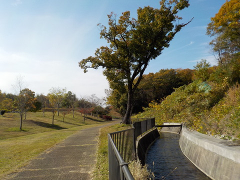 DSCN3099