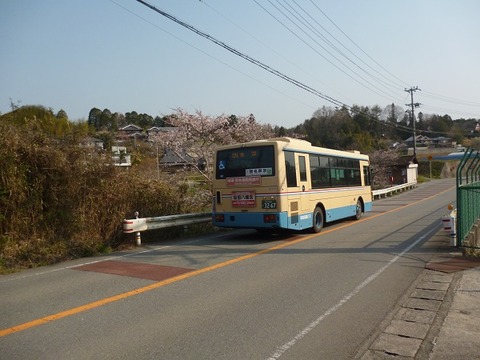 P1110375 (2)