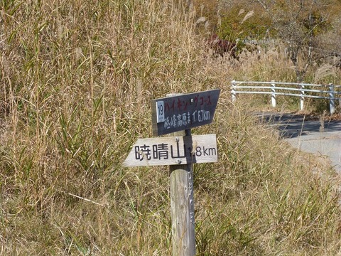 P1120695 (2)
