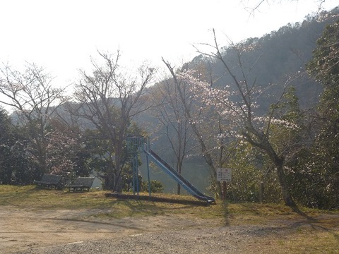 P1110376 (2)