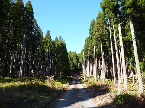 P1120697 (2)