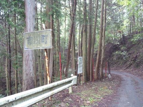 P1120533 (2)