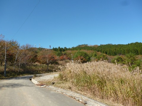 P1120682 (2)