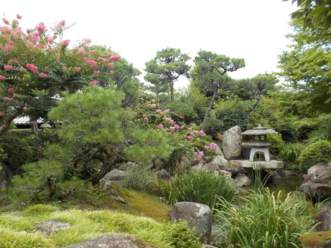 DSCN2985