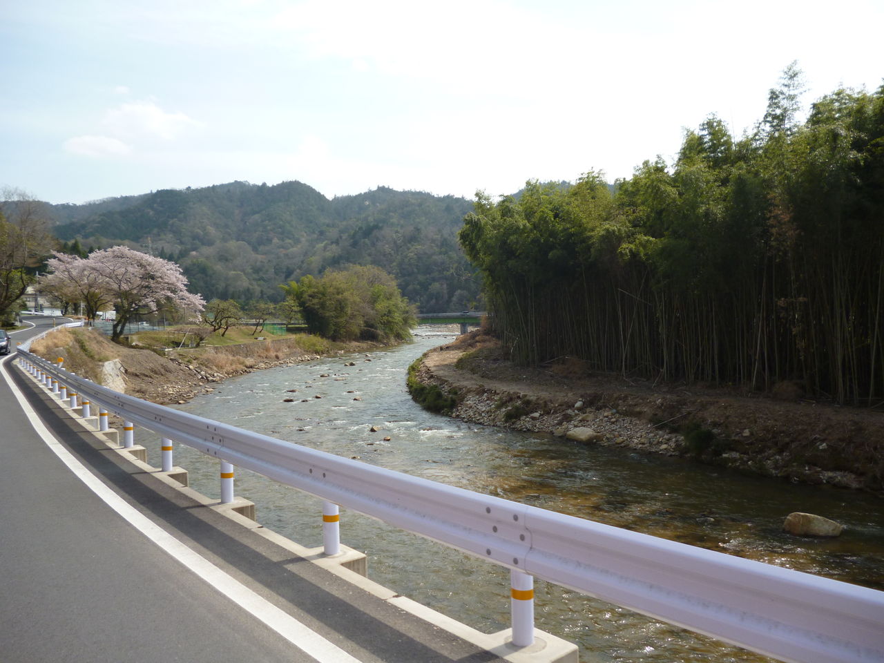 419号系統 信楽 ゆき こうすけの 路線バスの旅 419号系統 信楽 ゆき こうすけの 路線バスの旅