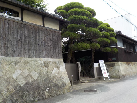 DSCN2978