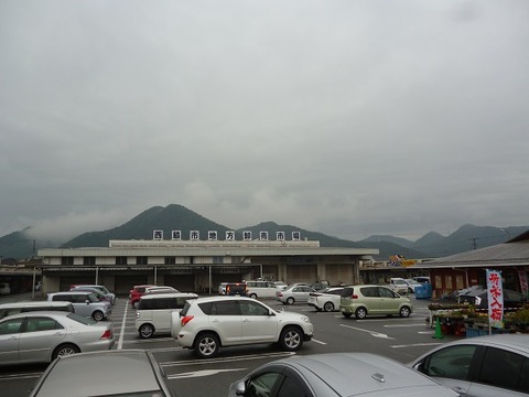 P1120459 (2)
