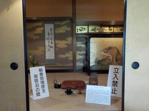 DSCN2981