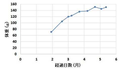 体重推移3